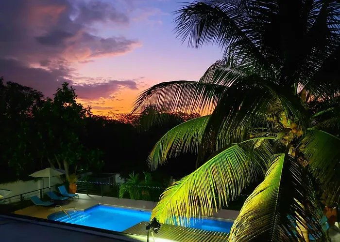 Forever Summer Gorgeous 4bdr With Pool Private Chef * Runaway Bay